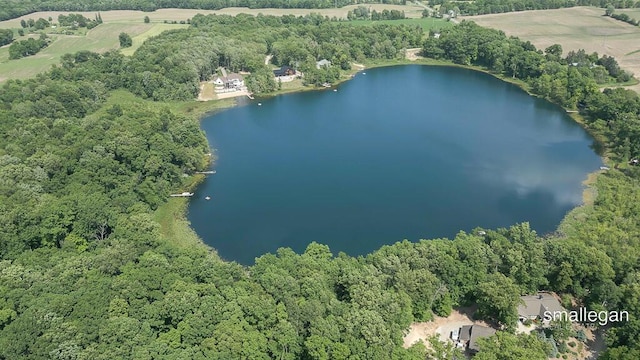 3192 W Sisson Rd, Freeport, MI 49325 - view of property location with a nearby body of water and a forest
