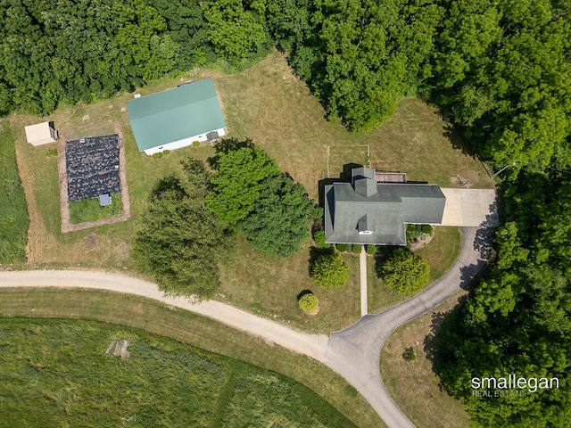 3192 W Sisson Rd, Freeport, MI 49325 - aerial view of property's location