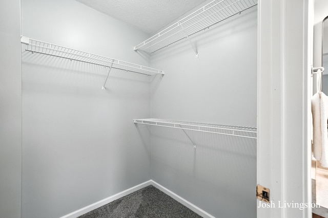 9337 Andrew Farms Dr, Alto, MI 49302 - walk in closet with carpet