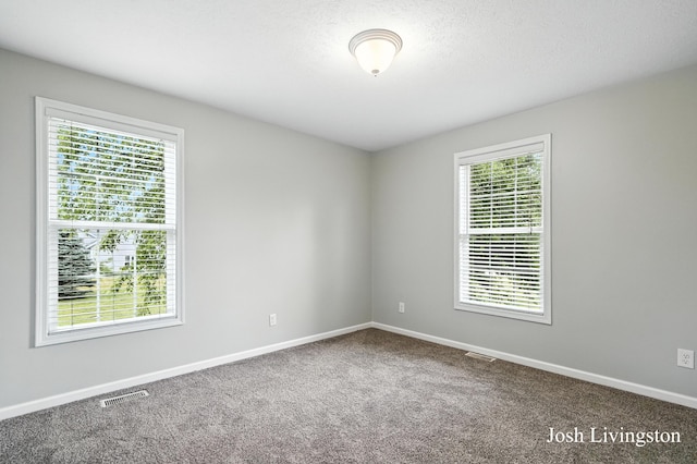9337 Andrew Farms Dr, Alto, MI 49302 - carpeted empty room with healthy amount of natural light