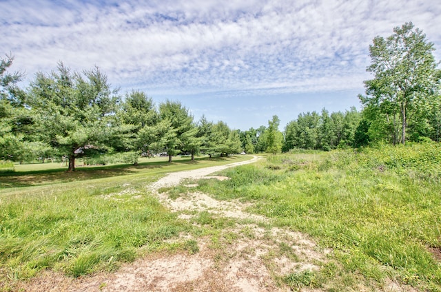 00 Leora Ln, Jackson, MI 49201 - photo 4