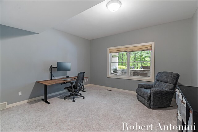 1977 Emerald Glen Ct NE, Ada, MI 49301 - photo 53