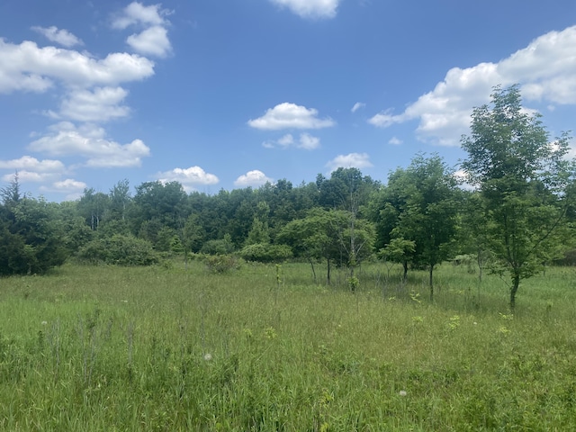 V/L 102nd Ave, Grand Junction, MI 49056