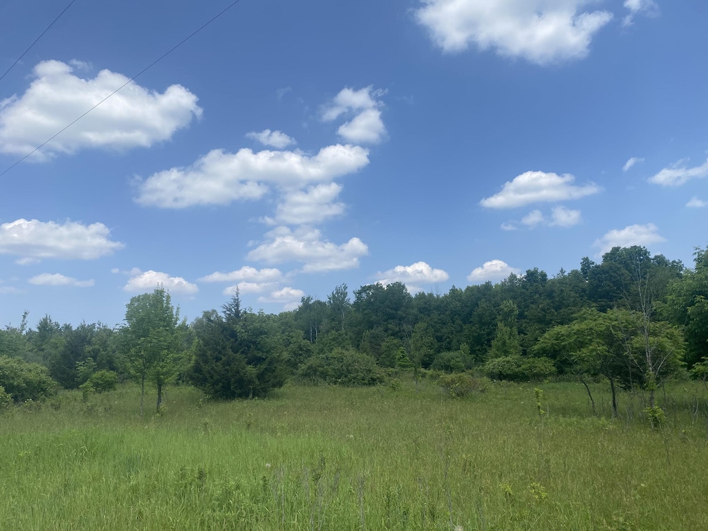 V/L 102nd Ave, Grand Junction, MI 49056