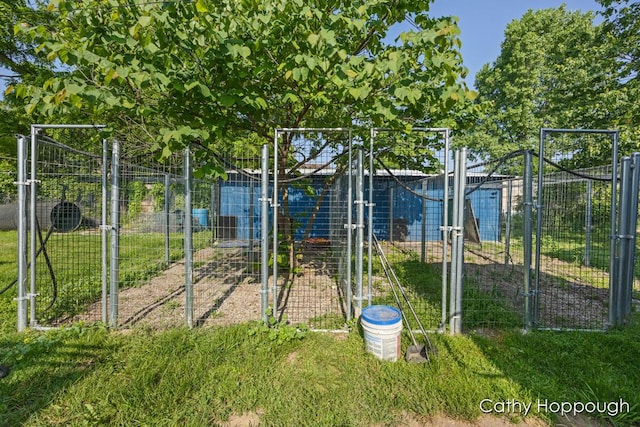4555 Charles St, Palo, MI 48870 - view of yard