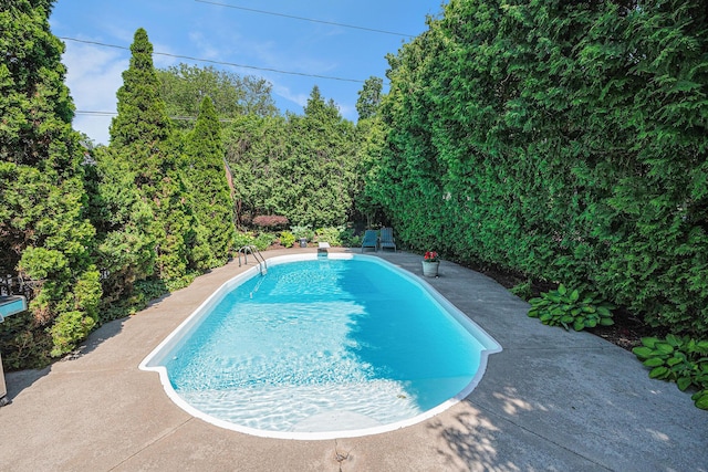 60 Lafayette Ave NE, Grand Rapids, MI 49503 - view of swimming pool