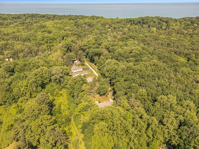 6368 E Lake Ln, Sawyer, MI 49125 - aerial view of a heavily wooded area