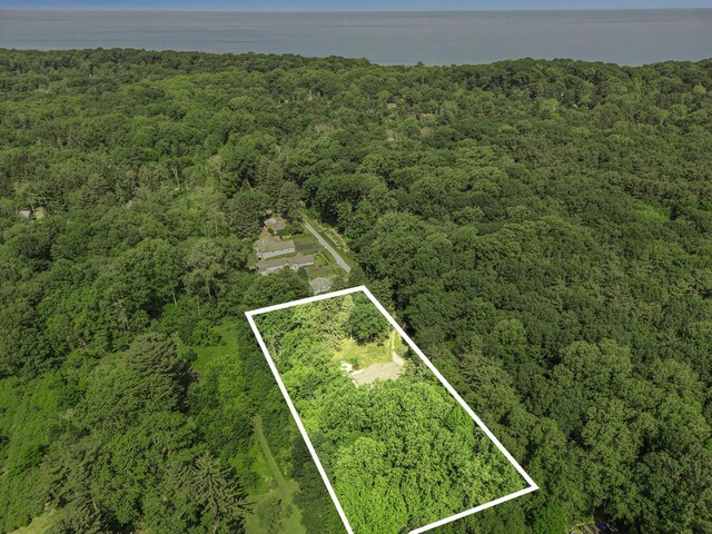 6368 E Lake Ln, Sawyer, MI 49125 - aerial view of property's location featuring a heavily wooded area and property boundaries highlighted
