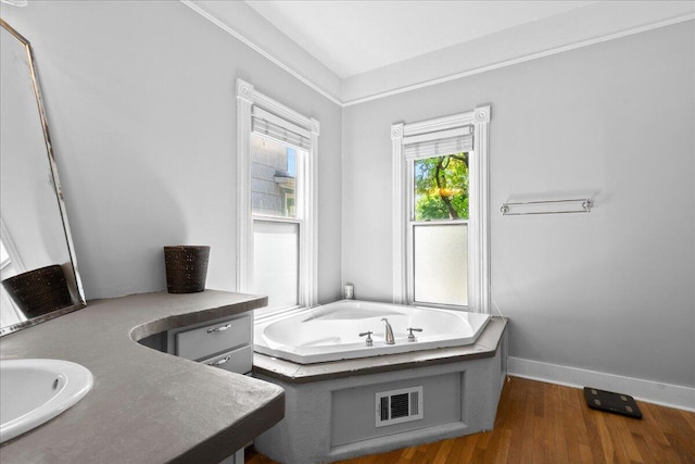 905 Harrison Ave, Saint Joseph, MI 49085 - bathroom featuring a bath, wood finished floors, and vanity
