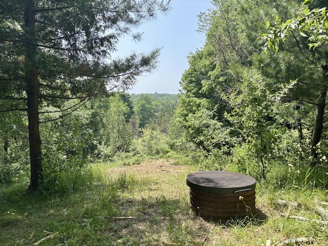 002 Maxey Rd, Arcadia, MI 49613 - photo 2