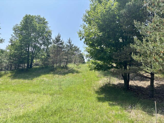 002 Maxey Rd, Arcadia, MI 49613 - photo 10