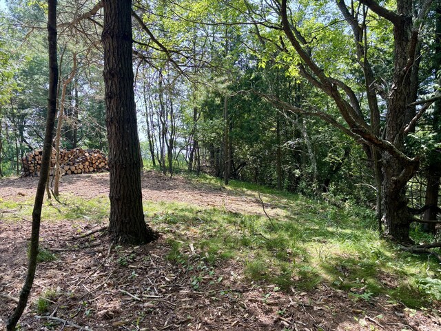 002 Maxey Rd, Arcadia, MI 49613 - photo 8