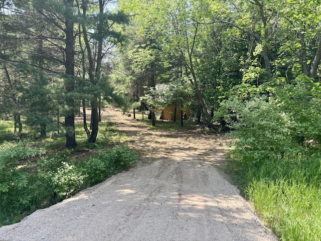 002 Maxey Rd, Arcadia, MI 49613 - photo 3