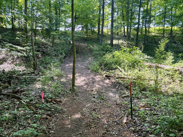 002 Maxey Rd, Arcadia, MI 49613 - photo 16