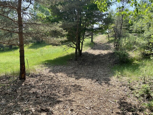 002 Maxey Rd, Arcadia, MI 49613 - photo 12