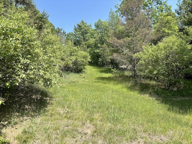 002 Maxey Rd, Arcadia, MI 49613 - photo 11