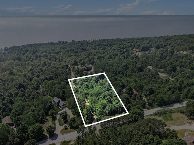 002 Maxey Rd, Arcadia, MI 49613 - photo 20