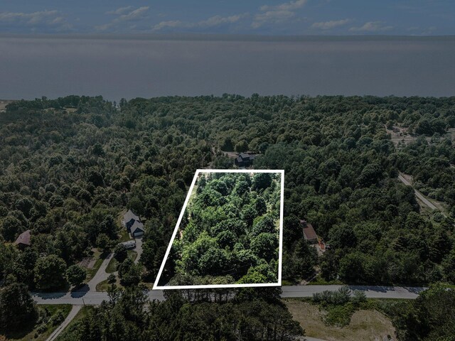 002 Maxey Rd, Arcadia, MI 49613 - photo 21