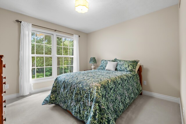 6374 Killington Dr, Kalamazoo, MI 49009 - photo 28