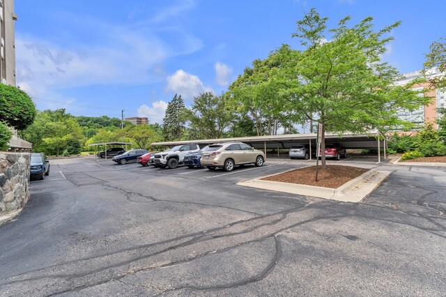 1050 Wall St Unit 6C, Ann Arbor, MI 48105 - photo 36