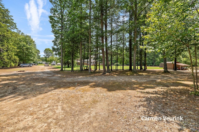 1723 S Sullivan Rd, Ravenna, MI 49451 - view of yard