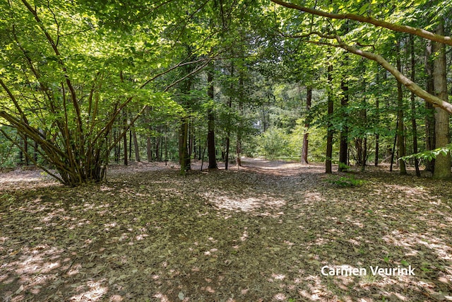 1723 S Sullivan Rd, Ravenna, MI 49451 - view of tree filled area