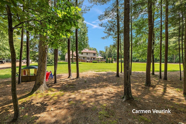1723 S Sullivan Rd, Ravenna, MI 49451 - surrounding community with a lawn