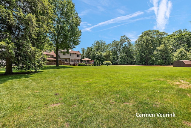 1723 S Sullivan Rd, Ravenna, MI 49451 - view of green lawn