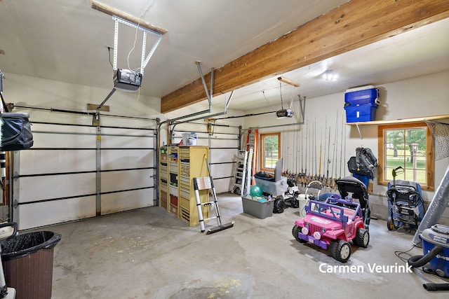 1723 S Sullivan Rd, Ravenna, MI 49451 - garage featuring a garage door opener