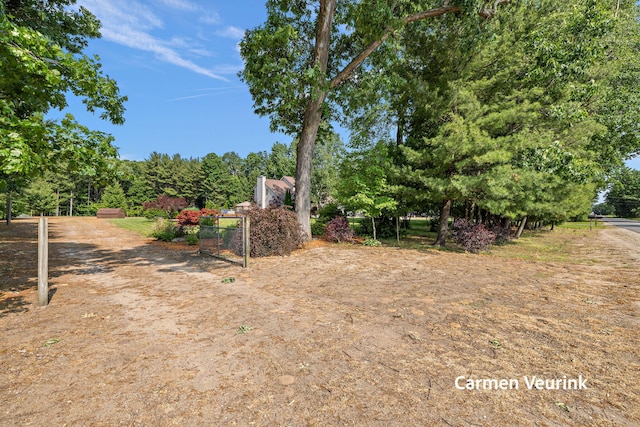 1723 S Sullivan Rd, Ravenna, MI 49451 - view of yard