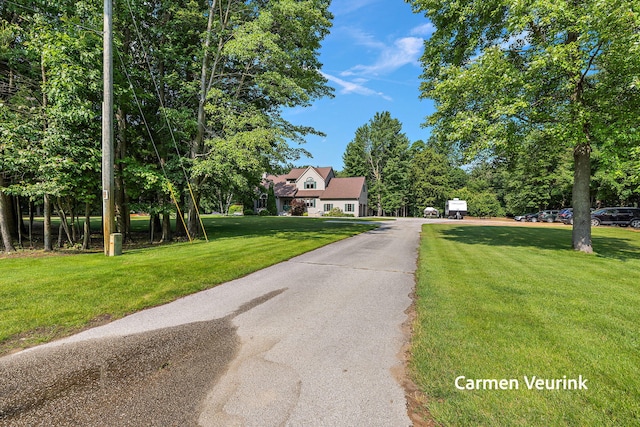 1723 S Sullivan Rd, Ravenna, MI 49451 - view of asphalt driveway