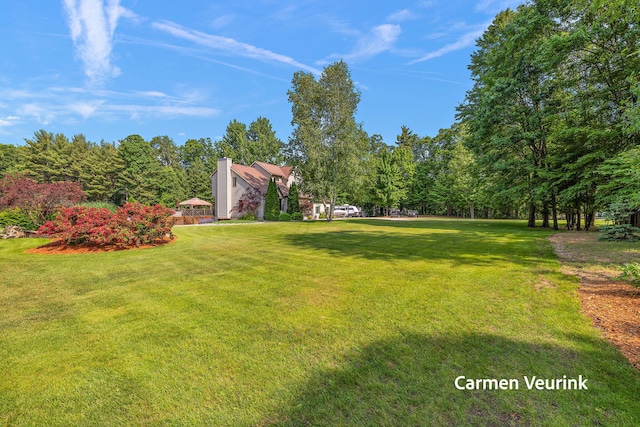 1723 S Sullivan Rd, Ravenna, MI 49451 - view of grassy yard