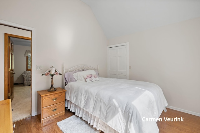 1723 S Sullivan Rd, Ravenna, MI 49451 - bedroom with vaulted ceiling, wood finished floors, and a closet
