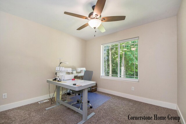 9030 Elstner Ave NE, Rockford, MI 49341 - photo 24