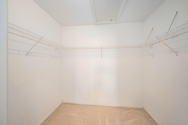 3350 Breckland Ct, Ann Arbor, MI 48108 - walk in closet featuring light carpet and attic access