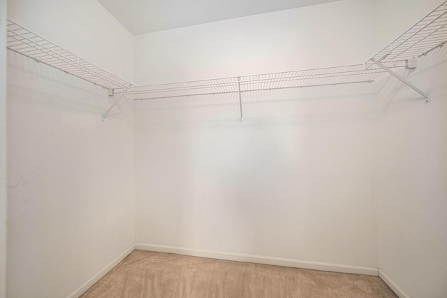3350 Breckland Ct, Ann Arbor, MI 48108 - walk in closet featuring light colored carpet