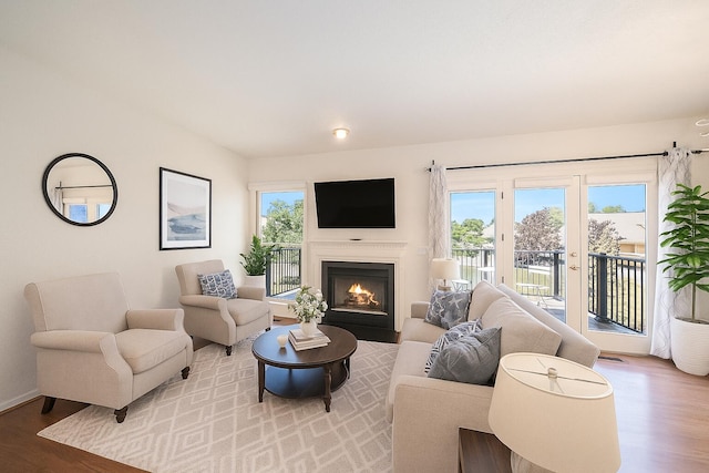 3350 Breckland Ct, Ann Arbor, MI 48108 - living area with wood finished floors, plenty of natural light, and a fireplace with flush hearth