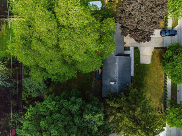 1528 E Maple Rd, Birmingham, MI 48009 - photo 34