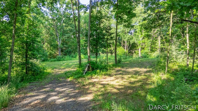 5559 W M 179 Hwy, Hastings, MI 49058