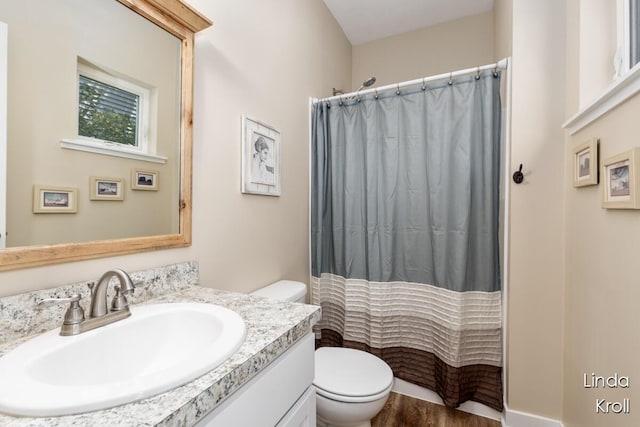 195 Liberty St NW, Sparta, MI 49345 - bathroom featuring vanity, wood finished floors, and a shower with shower curtain