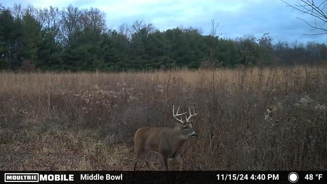 11775 25 1/2 Mile Rd, Albion, MI 49224 - photo 34