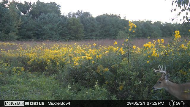 11775 25 1/2 Mile Rd, Albion, MI 49224 - photo 35