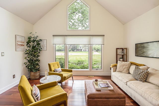 3185 Shadberry Ct, Saline, MI 48176 - living room featuring high vaulted ceiling and wood finished floors