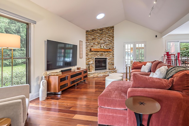 3185 Shadberry Ct, Saline, MI 48176 - living room featuring wood finished floors, a stone fireplace, and high vaulted ceiling
