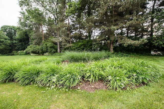 3185 Shadberry Ct, Saline, MI 48176 - view of yard