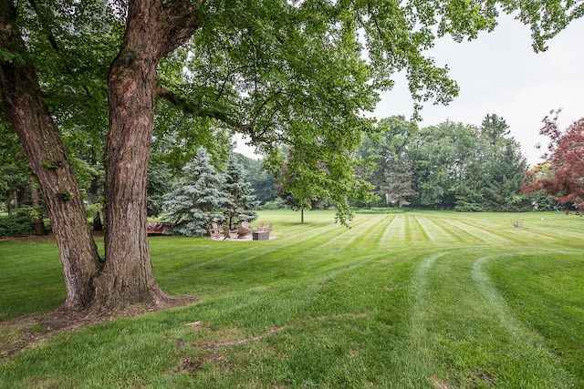 3185 Shadberry Ct, Saline, MI 48176 - view of grassy yard with view of wooded area