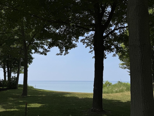 16618 77th St, South Haven, MI 49090 - photo 4