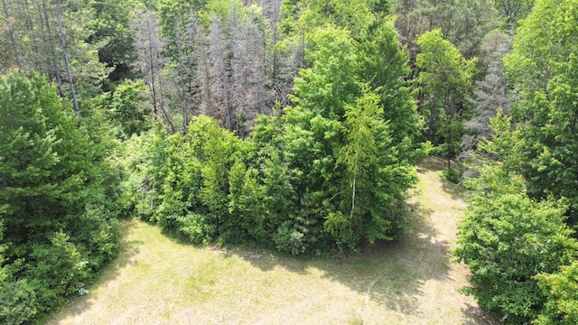 13407 60th Ave, Mecosta, MI 49332