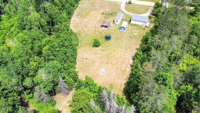 13407 60th Ave, Mecosta, MI 49332