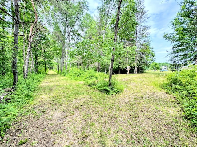 13407 60th Ave, Mecosta, MI 49332